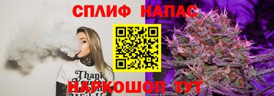 ECSTASY Тверь