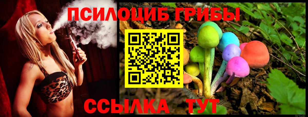 наркотики  Псилоцибиновые грибы мицелий  Вход с VPN  Благодарный 