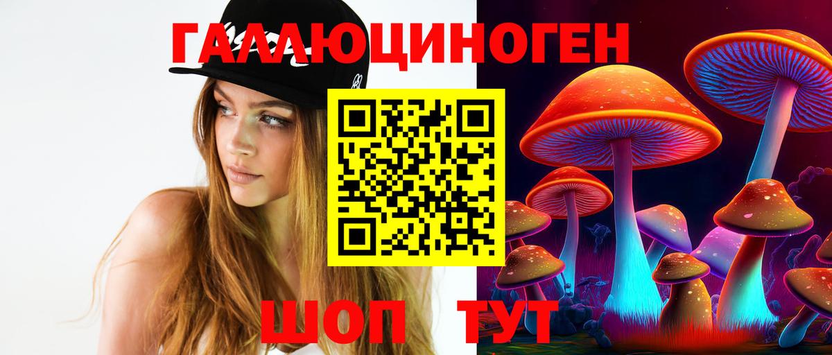 Галлюциногенные грибы Psilocybe Благодарный